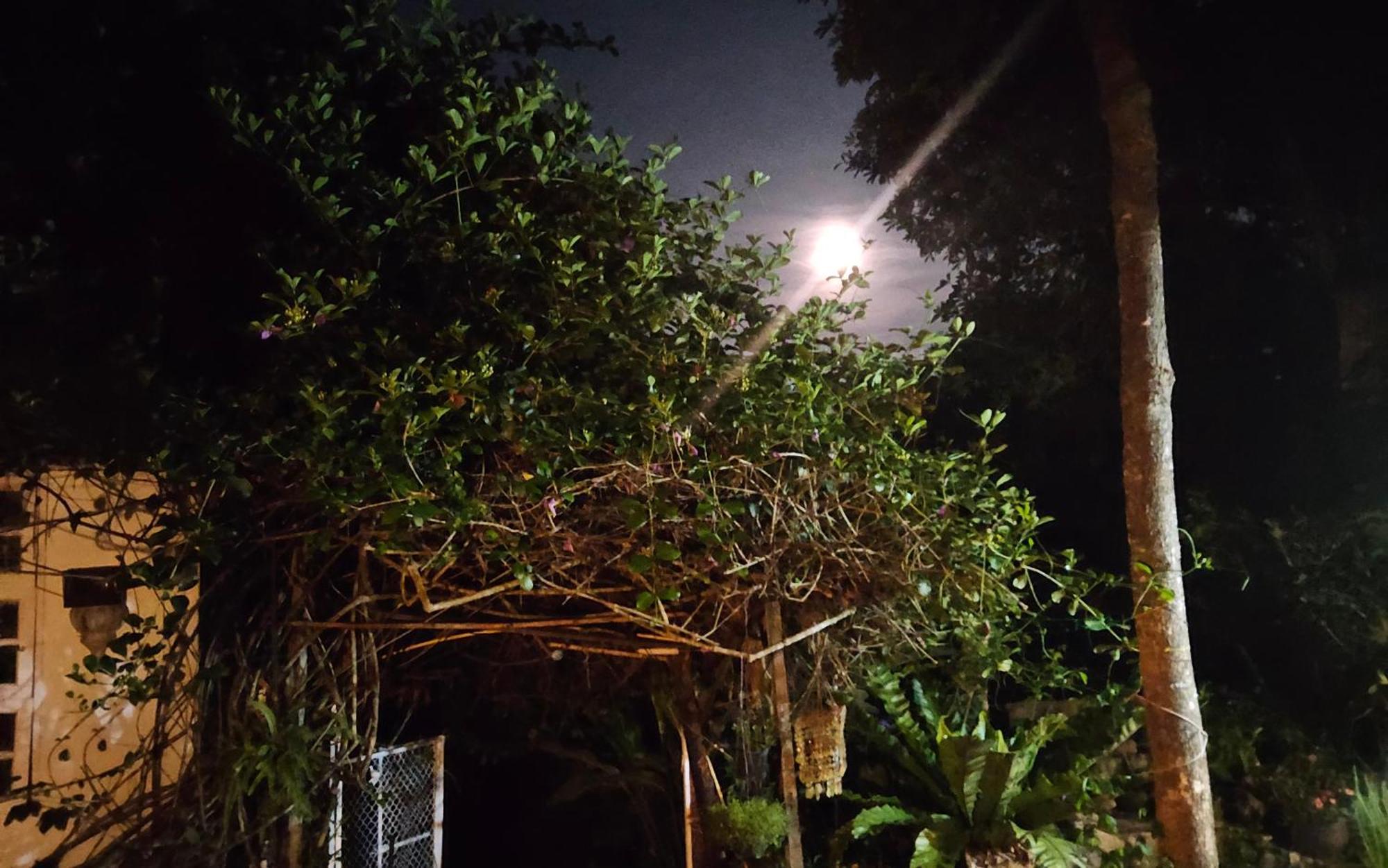 Balmy Hideout Cafe & Homestay Ban Huai Kaeo Extérieur photo
